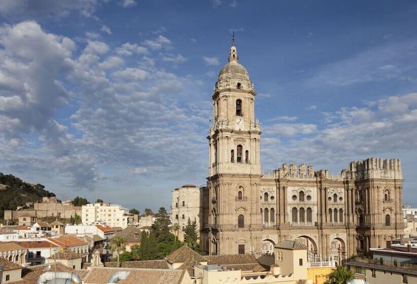 هتل Petit Palace Plaza Malaga