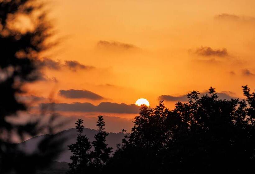 Can Lluc Hotel Rural