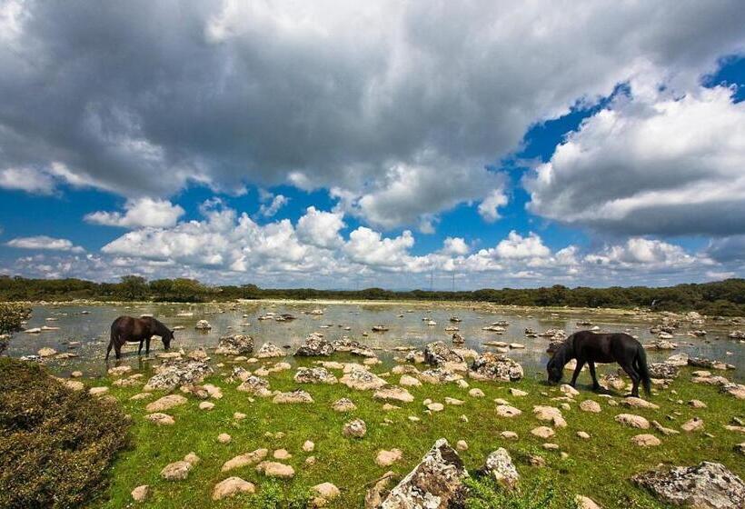 בית מלון כפרי Sa Lolla