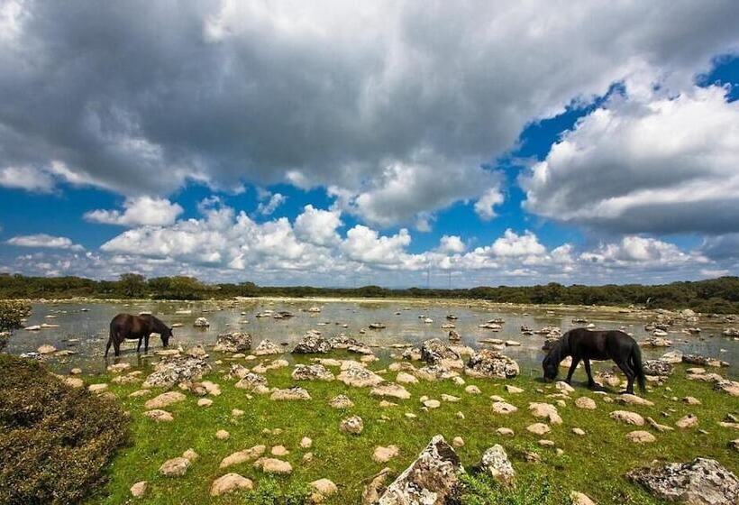 בית מלון כפרי Sa Lolla