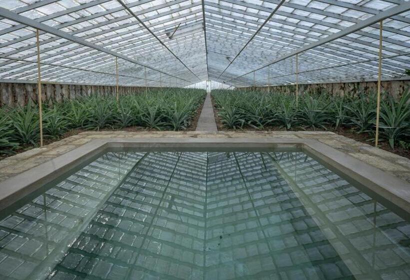 فندق Senhora Da Rosa, Tradition & Nature