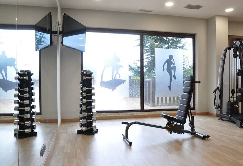 Отель & Spa Real Badaguás Jaca