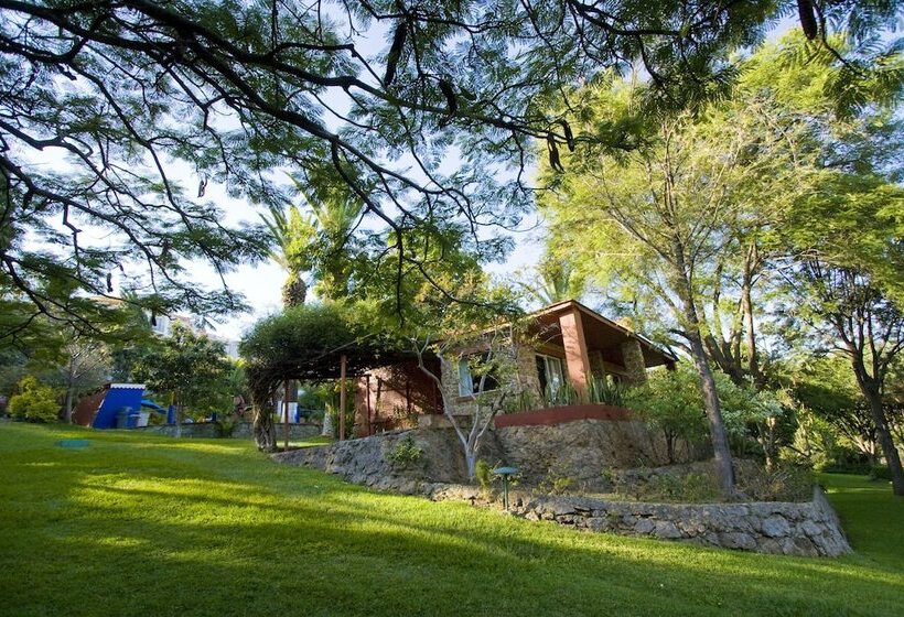 فندق Victoria Oaxaca