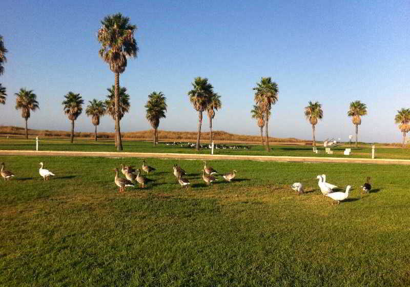 Life Apartments Costa Ballena