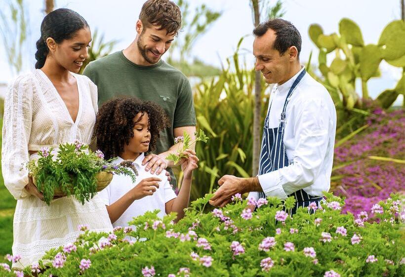 리조트 Ikos Porto Petro