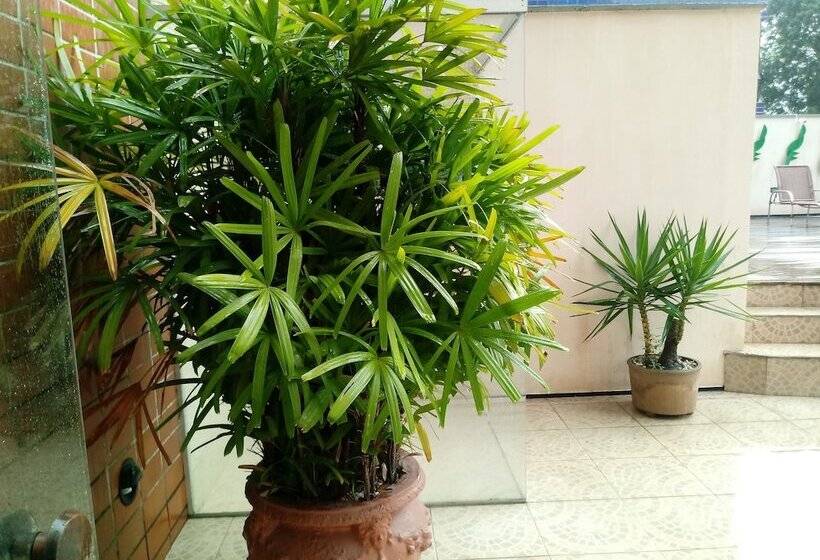 Spazzio Hotel Residence