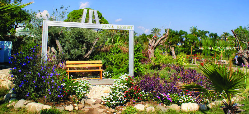 Zena Resort Hotel   All Inclusive