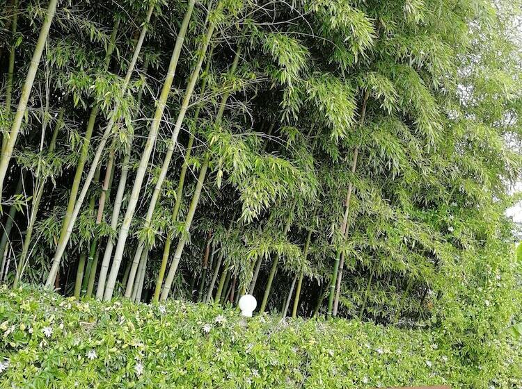 فندق Alles Guesthouse