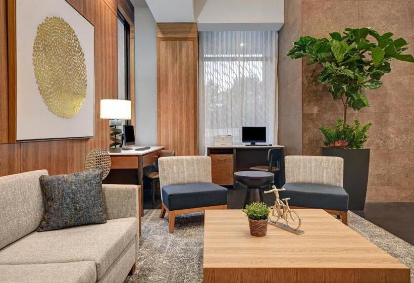 호텔 Holiday Inn Express Houston Galleria Area By Ihg