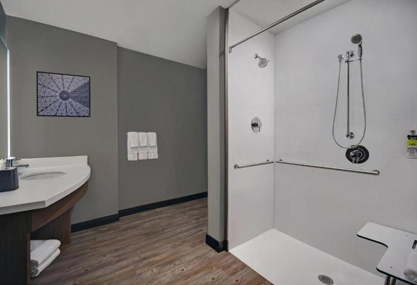 호텔 Holiday Inn Express Houston Galleria Area By Ihg