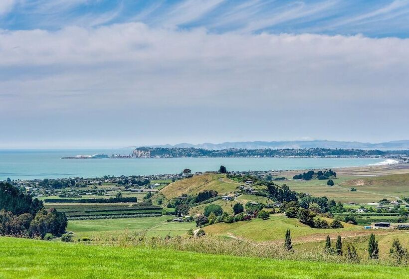 בית מלון כפרי Napier B&b   Tequila Sunrise