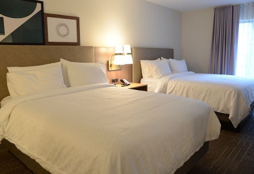 ホテル Staybridge Suites Nashville Se  Murfreesboro, An Ihg