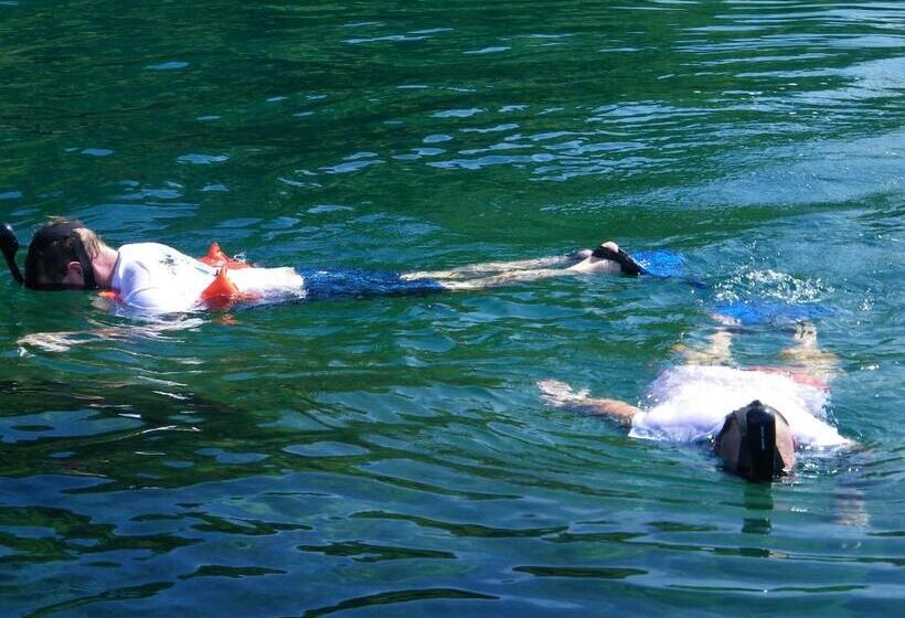 酒店 Cabinas Sol Y Mar