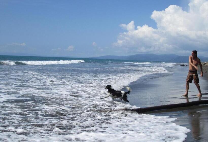 酒店 Cabinas Sol Y Mar