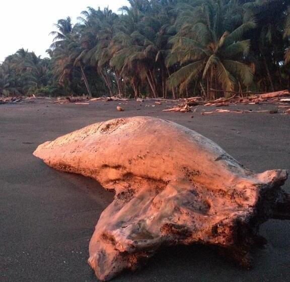 酒店 Cabinas Sol Y Mar