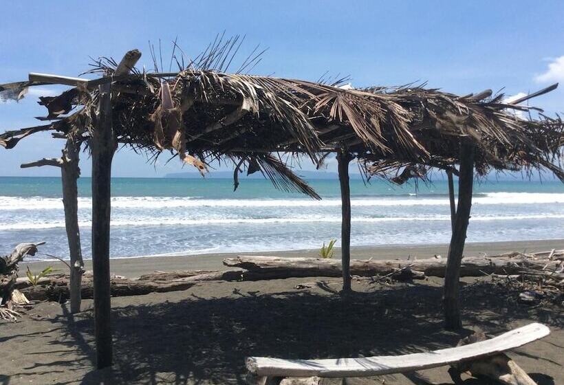 酒店 Coloso Del Mar