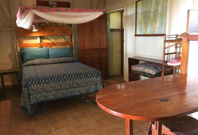 ペンション Cabinas Los Cocos