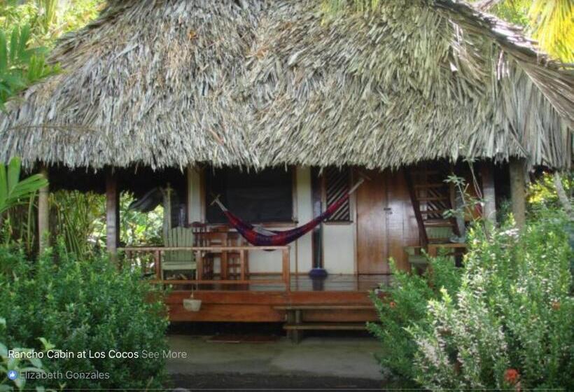 ペンション Cabinas Los Cocos