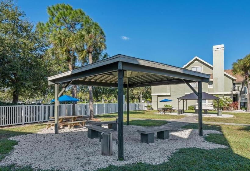 Chase Suite Hotel Rocky Point Tampa