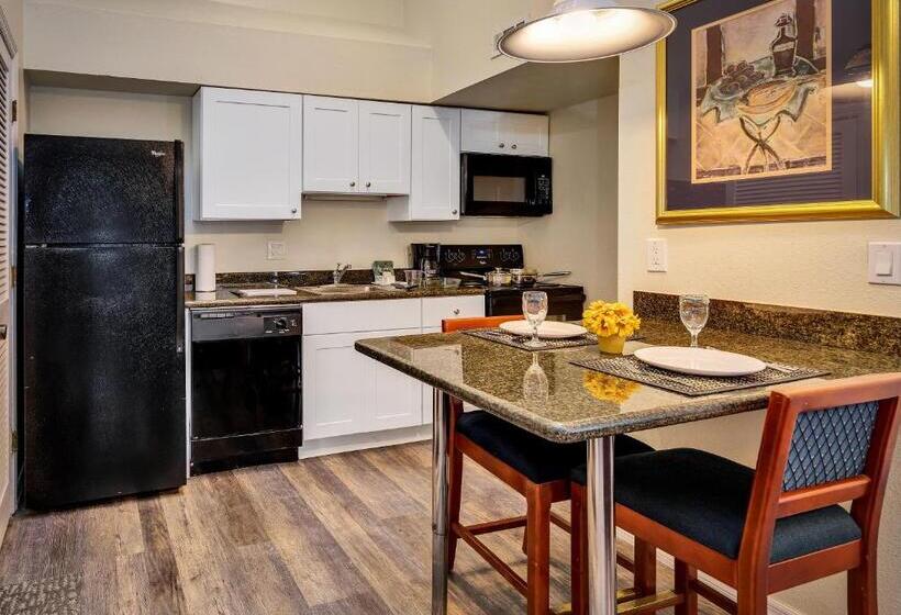 Chase Suite Hotel Rocky Point Tampa