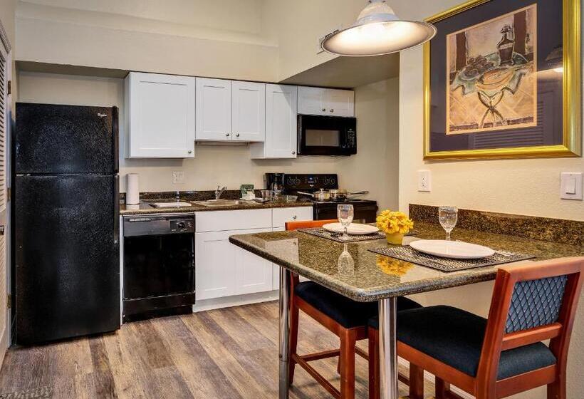 Chase Suite Hotel Rocky Point Tampa