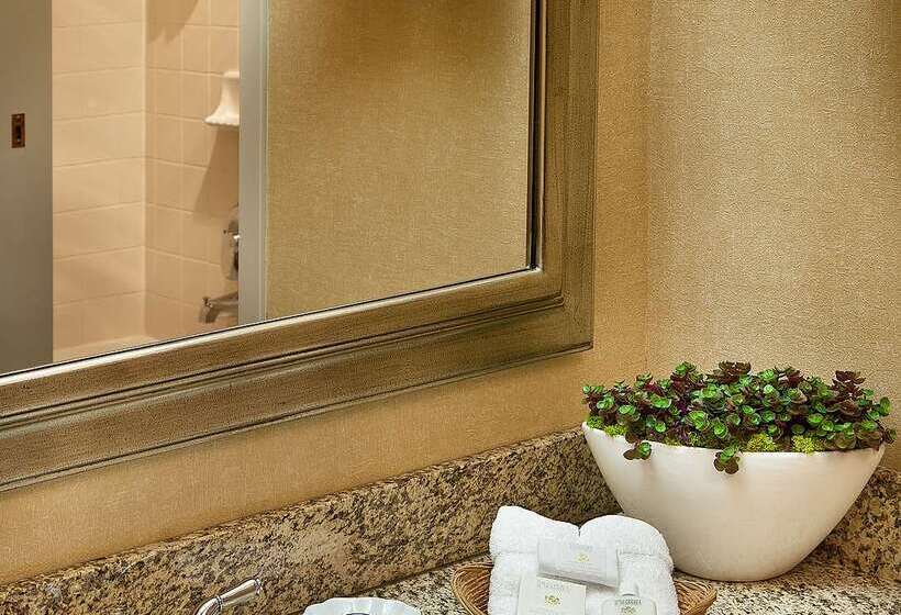 Отель Coast Gateway