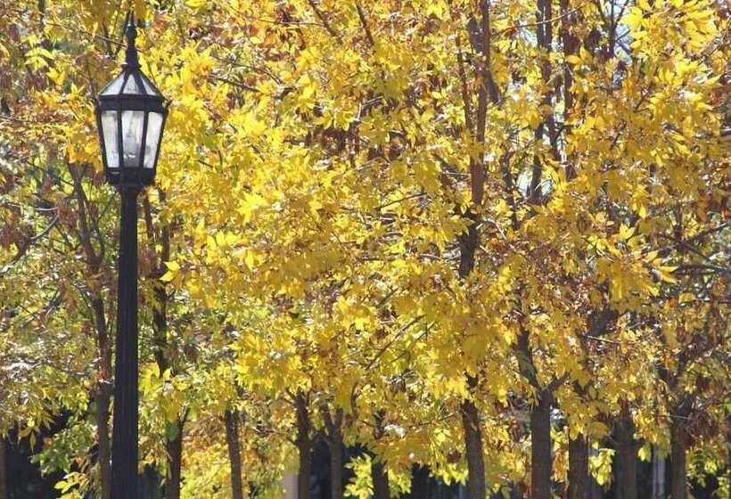 בית מלון כפרי Colonial San Nicolas