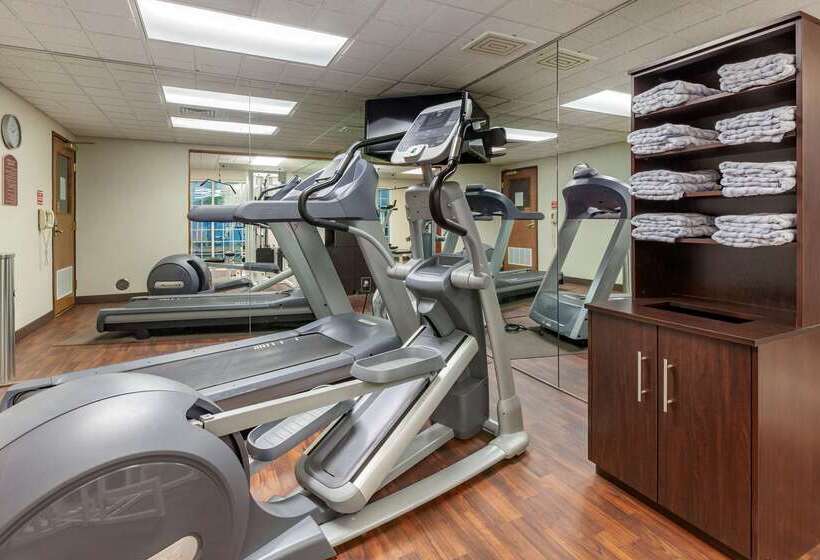 فندق Comfort Suites