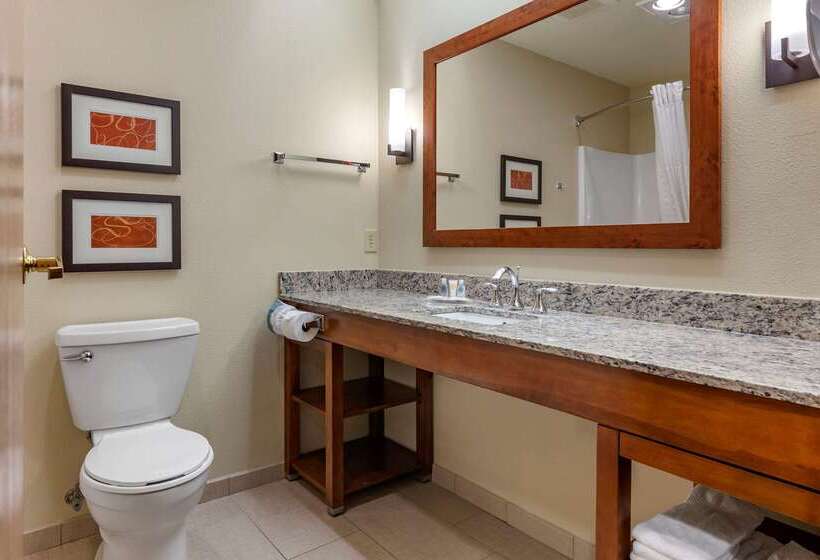 فندق Comfort Suites