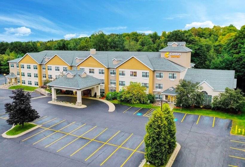 فندق Comfort Suites