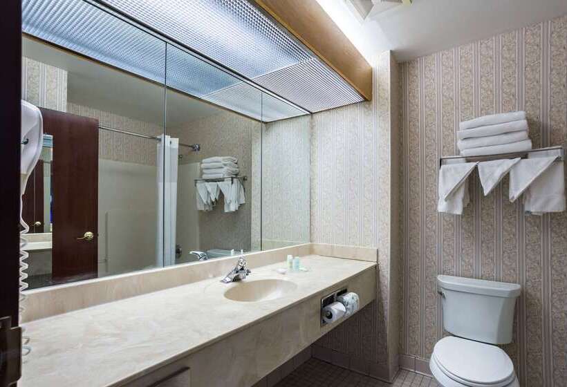 호텔 Comfort Suites New Orleans East