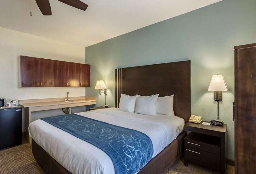 호텔 Comfort Suites New Orleans East