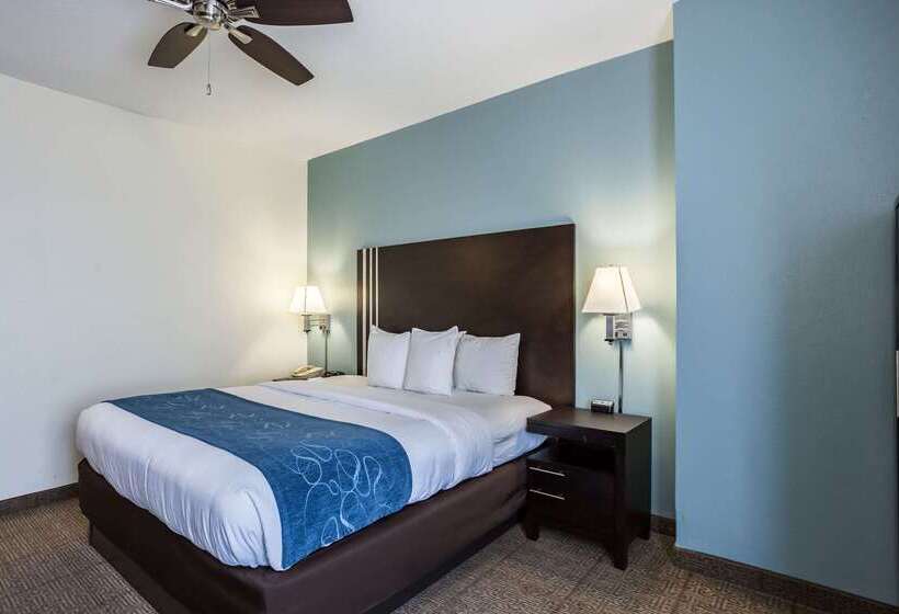 호텔 Comfort Suites New Orleans East
