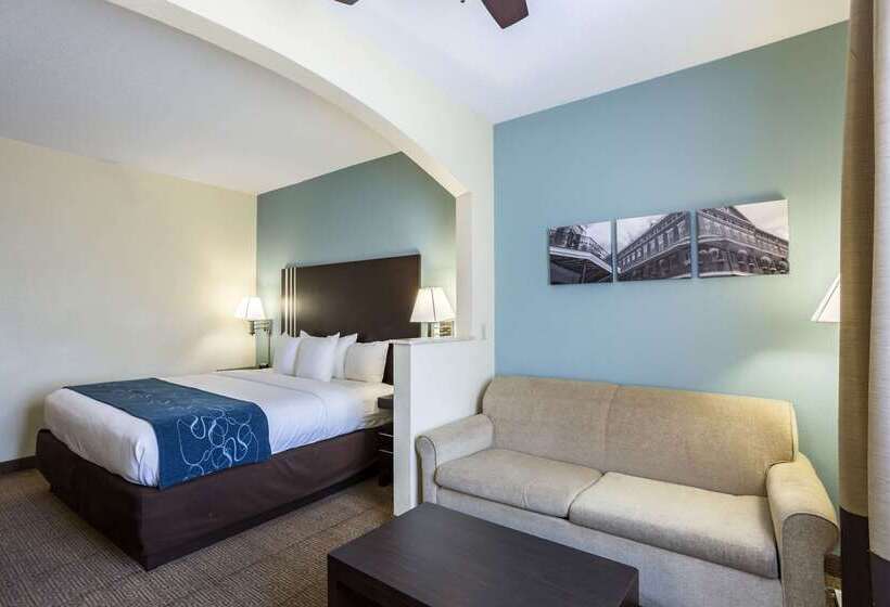 호텔 Comfort Suites New Orleans East