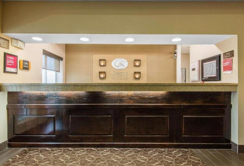 ホテル Comfort Suites Rochester Henrietta University Area