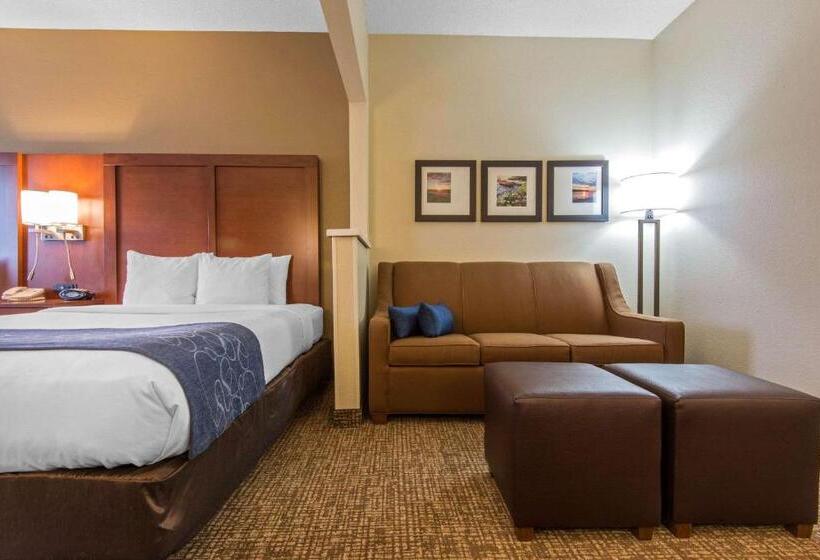 ホテル Comfort Suites Rochester Henrietta University Area