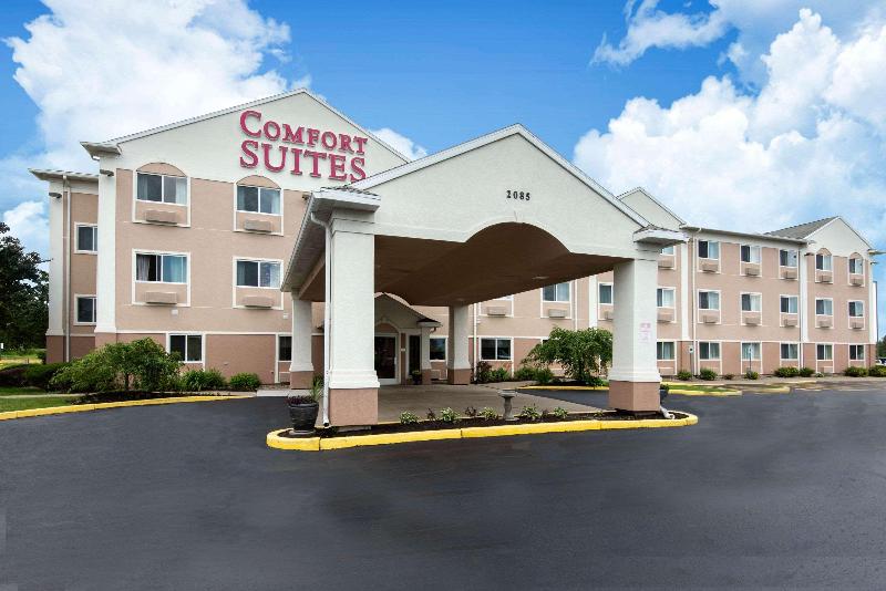 ホテル Comfort Suites Rochester Henrietta University Area