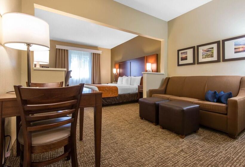 ホテル Comfort Suites Rochester Henrietta University Area