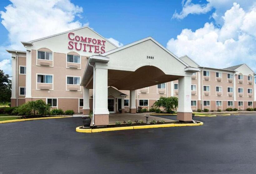 ホテル Comfort Suites Rochester Henrietta University Area