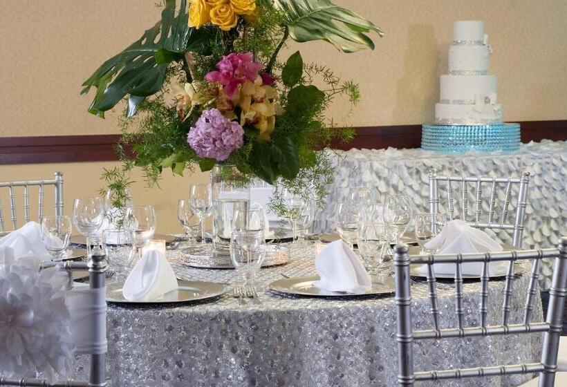 בית מלון כפרי Courtyard Miami Coral Gables