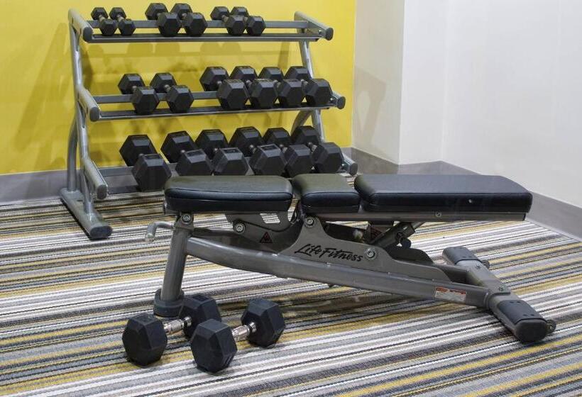 בית מלון כפרי Courtyard Miami Coral Gables