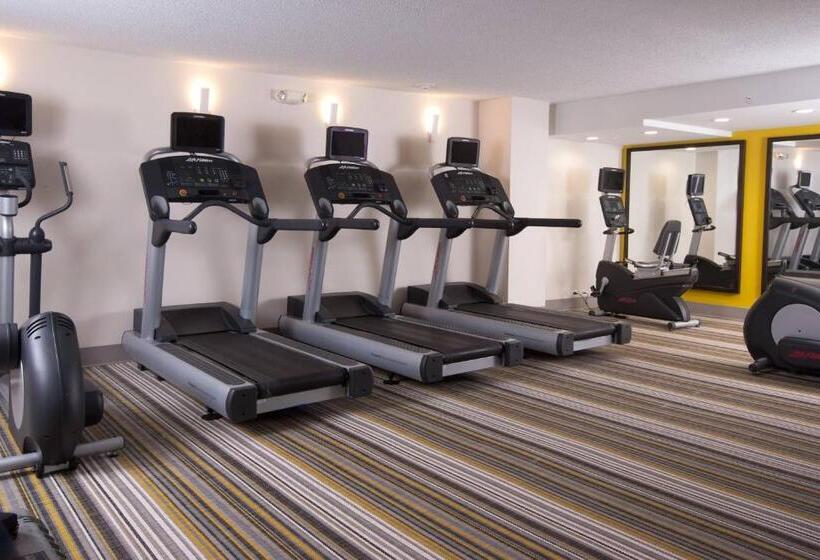 בית מלון כפרי Courtyard Miami Coral Gables