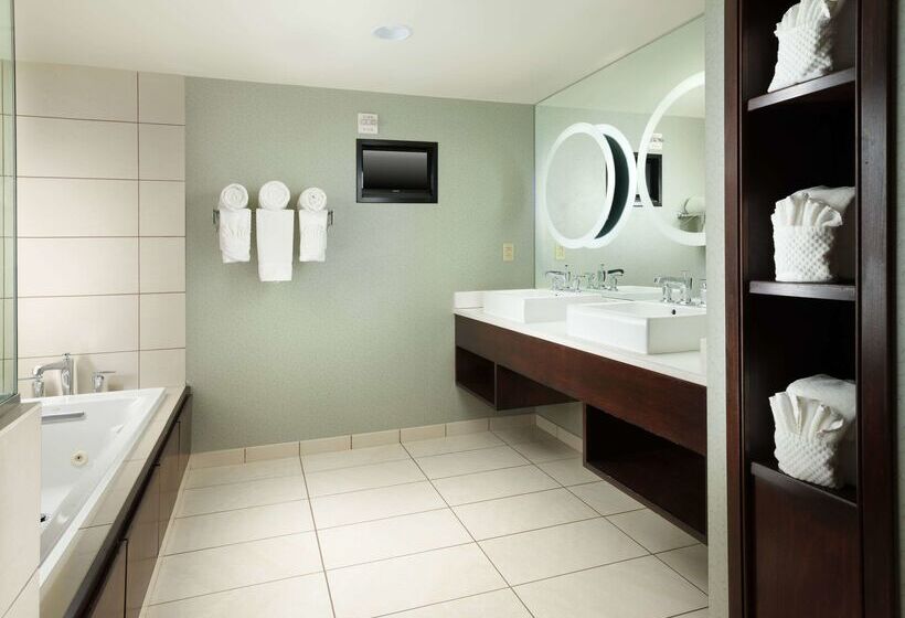 Doubletree By Hilton Hotel Chattanooga Downtown