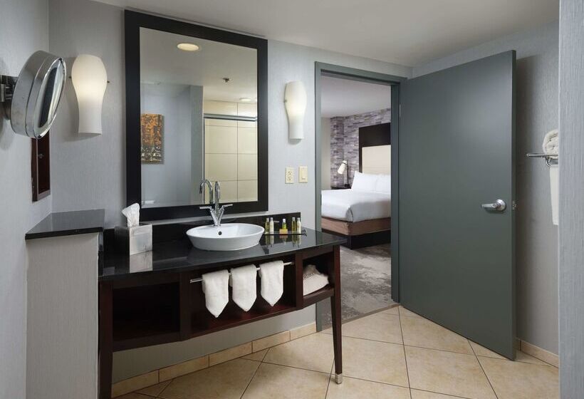 Doubletree By Hilton Hotel Chattanooga Downtown