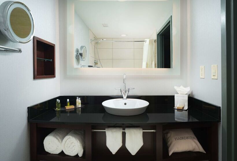 Doubletree By Hilton Hotel Chattanooga Downtown