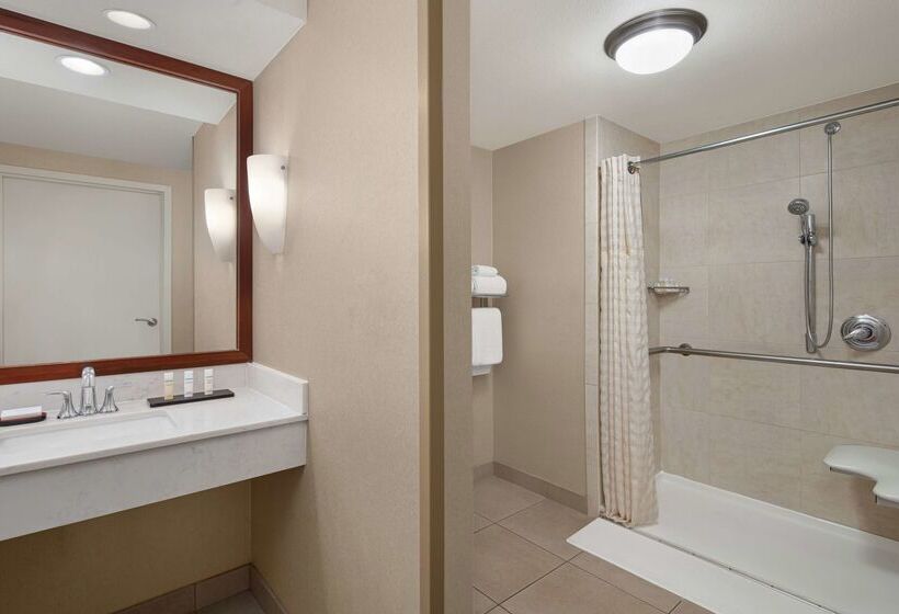 酒店 Embassy Suites By Hilton Fort Worth Downtown