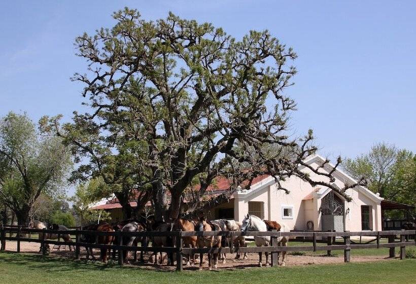 בית מלון כפרי Estancia El Ombu De Areco