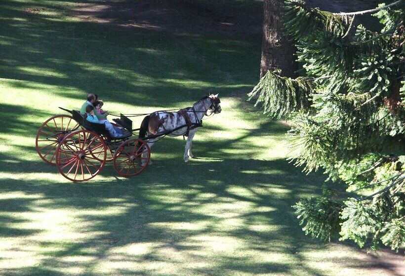 فندق Estancia La Candelaria