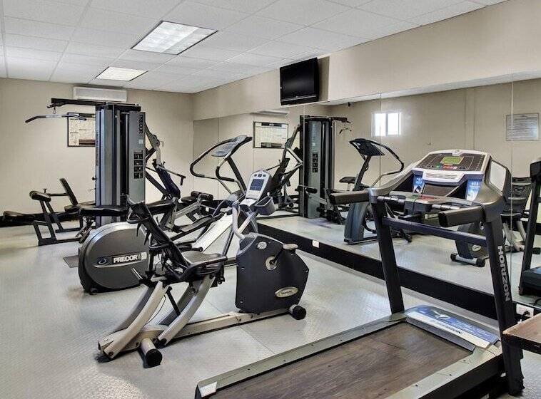 فندق Everest Ciudad Victoria