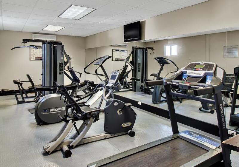 فندق Everest Ciudad Victoria